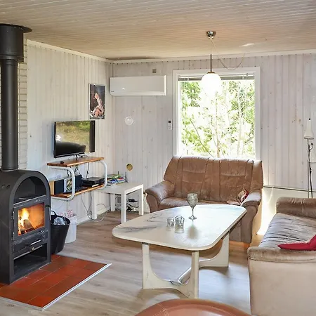 Ferienhaus Romo Kongsmark